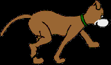 180.bmp