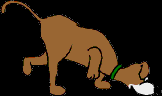 183.bmp