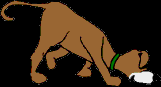 185.bmp