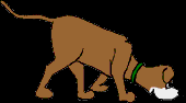 186.bmp
