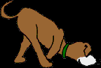 189.bmp