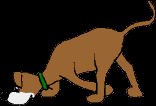 202.bmp