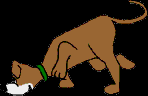 204.bmp