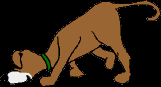 205.bmp