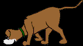 206.bmp