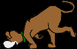 207.bmp