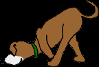 209.bmp