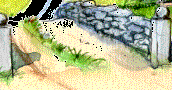 16.bmp