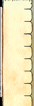 100.bmp