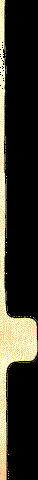 81.bmp