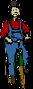 15.bmp