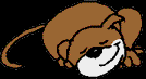 161.bmp