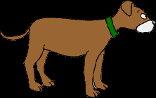 228.bmp
