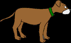 230.bmp