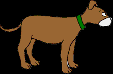 233.bmp