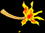 53.bmp