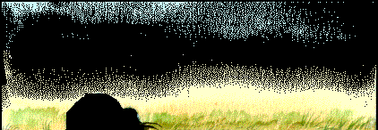 13.bmp