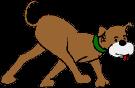 54.bmp
