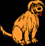 27.bmp