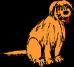 29.bmp