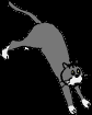 37.bmp