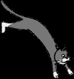 41.bmp