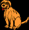 41.bmp