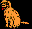 43.bmp