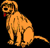 44.bmp