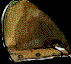 1012.bmp