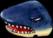 33.bmp