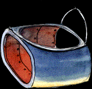 43.bmp